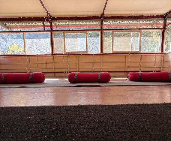 Accommodation garden Accommodation garden