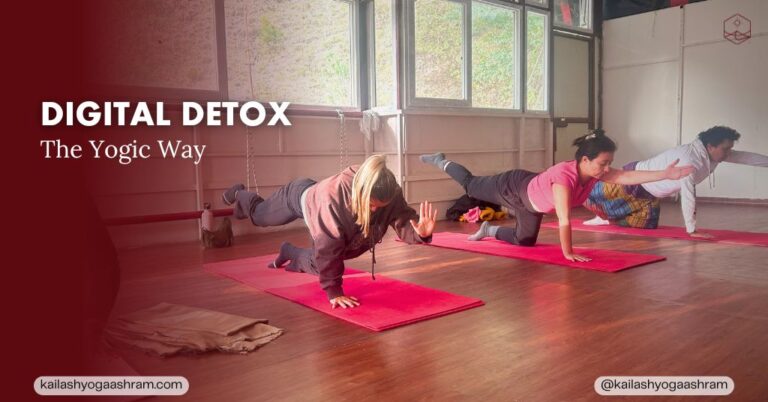 View of Digital Detox Retreat | Kailash Yoga Ashram